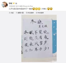 關(guān)于贊美孩子寫字認(rèn)真的詩(shī)句