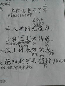 關(guān)于轉(zhuǎn)化的詩(shī)句