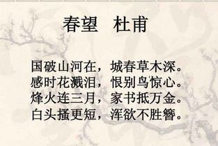 10句關(guān)于愛(ài)國(guó)情懷的詩(shī)句