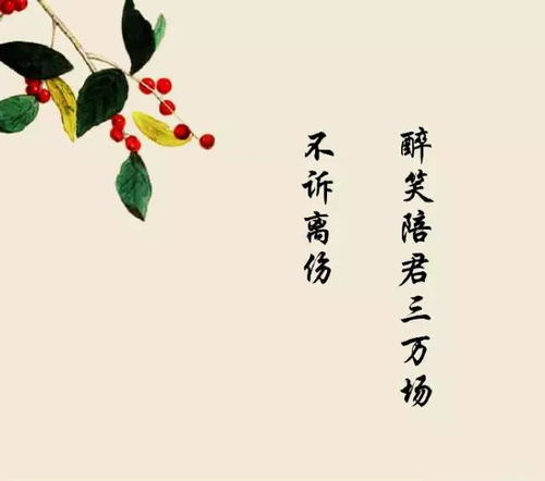 詩句,不遠,距離