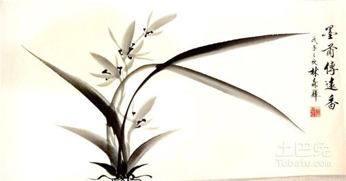關(guān)于梅蘭竹菊的詩句作者和詩名