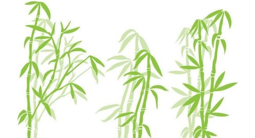 贊竹子的千古詩句