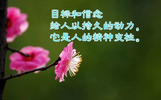 陽(yáng)光向上的古詩(shī)簡(jiǎn)短,古詩(shī)勵(lì)志的句子致自己簡(jiǎn)短,古詩(shī)座右銘勵(lì)志簡(jiǎn)短