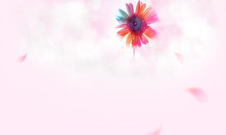 關(guān)于秋花的詩句