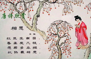 關于桂花的相思詩句古詩