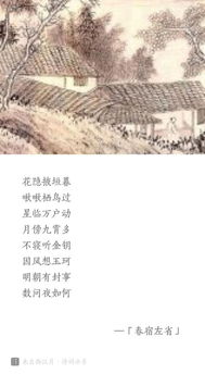古詩(shī)江畔獨(dú)步尋花杜甫的詩(shī)句,關(guān)于杜甫的詩(shī)句古詩(shī),杜甫洞庭湖的詩(shī)句古詩(shī)