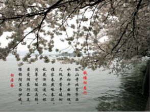 古詩,詩句,描寫,風景