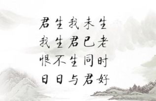 傳達(dá)愛(ài)意的古詩(shī)句