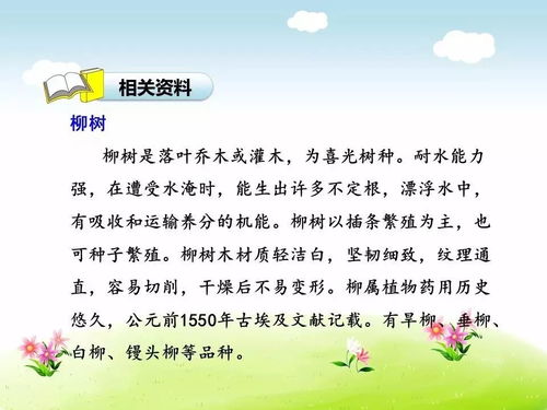 采用比喻手法的古詩(shī)句有哪些,采用比喻手法的古詩(shī)句,用比喻手法寫的古詩(shī)有哪些