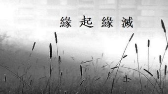 關(guān)于緣分盡了的詩句