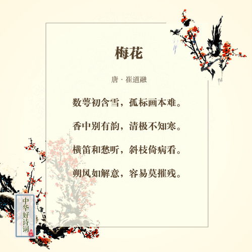 關于梅花的成語與詩句