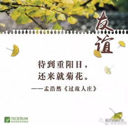 關(guān)于友誼長存的詩句和名言