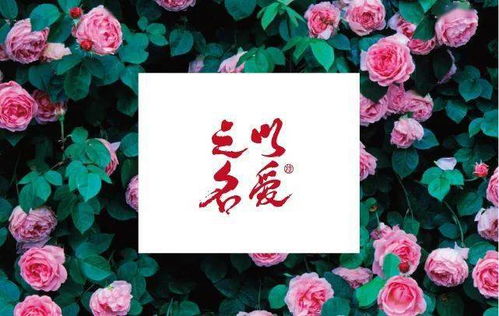 關(guān)于花夢的詩句古詩大全
