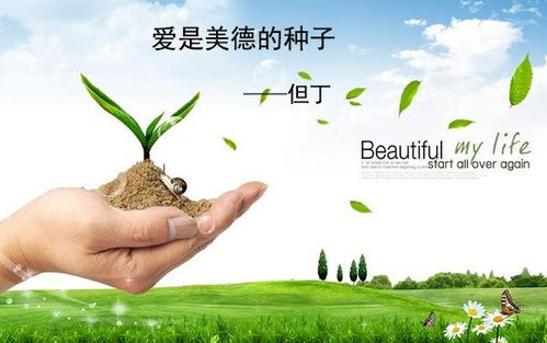 關(guān)于公益的名言和詩句