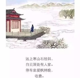 關(guān)于夜貓子的詩句古詩詞