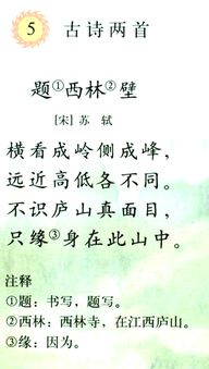 四級(jí),古詩(shī),詩(shī)句