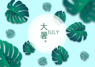 關(guān)于大暑的諺語和詩句
