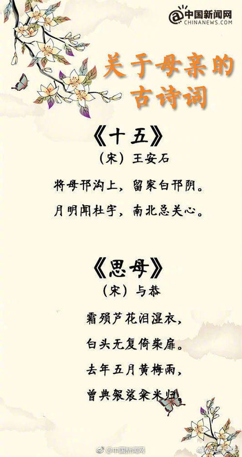 關于母愛的詩句是什么意思