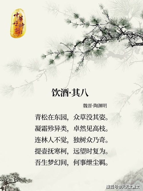 關于松樹與雪的詩句