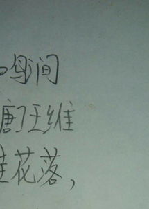 詩(shī)句,帶念字