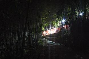 關(guān)于夜色竹林的詩句