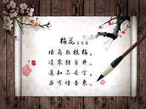 詩句,小學(xué),大全,于梅