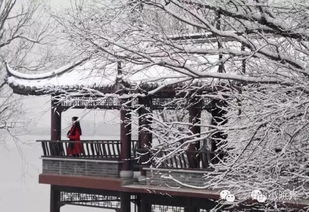 詩句,下雪