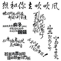 關(guān)于汽車的個性詩句