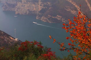 重慶,詩句,美景