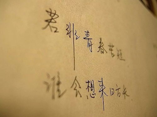 關(guān)于青春的英文詩句