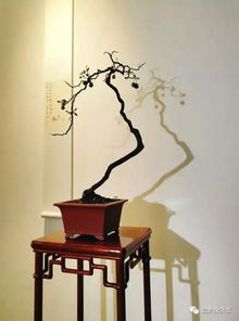 詩句,家具