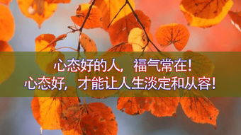 關(guān)于從容心態(tài)的相關(guān)詩句