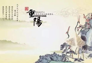 詩(shī)句,真情