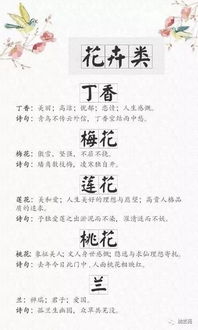 面對(duì)成績(jī)的抒情的古詩(shī)句