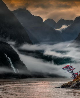 關(guān)于蘭花的詩句,贊美蘭花的詩句古詩詞,蘭花的勵志詩句古詩詞