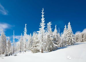 寫詠雪古詩句