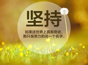 表示自己要堅(jiān)持下去的古詩(shī)句