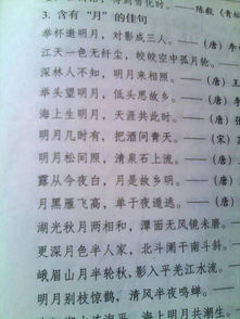 描寫夏日湖水的古詩句