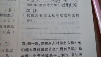 關(guān)于母愛的詩句或詩