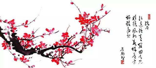 還有哪些關(guān)于贊美梅花的詩句