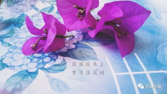 詩句,凋謝,花朵