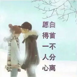 一句,詩句