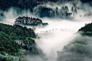 廬山,詩句,贊美,景色