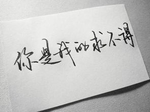 關(guān)于不念過往的詩句