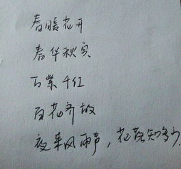 一句,詩句,概括,吳孟超