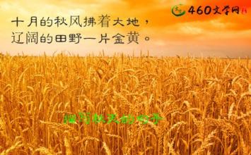 關(guān)于描寫大地的古詩(shī)句