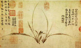 關于蘭的經典詩句
