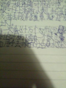觀察植物作文400字開頭寫聽說