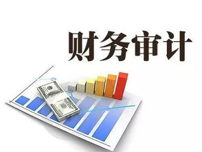 審計(jì)自查報(bào)告(審計(jì)自查報(bào)告)