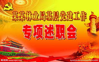 抓黨建專項述職報告,黨建述職報告范文(抓黨建專項述職報告范文(2))